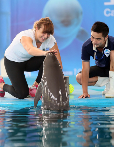 成熟度的关 成熟度的关